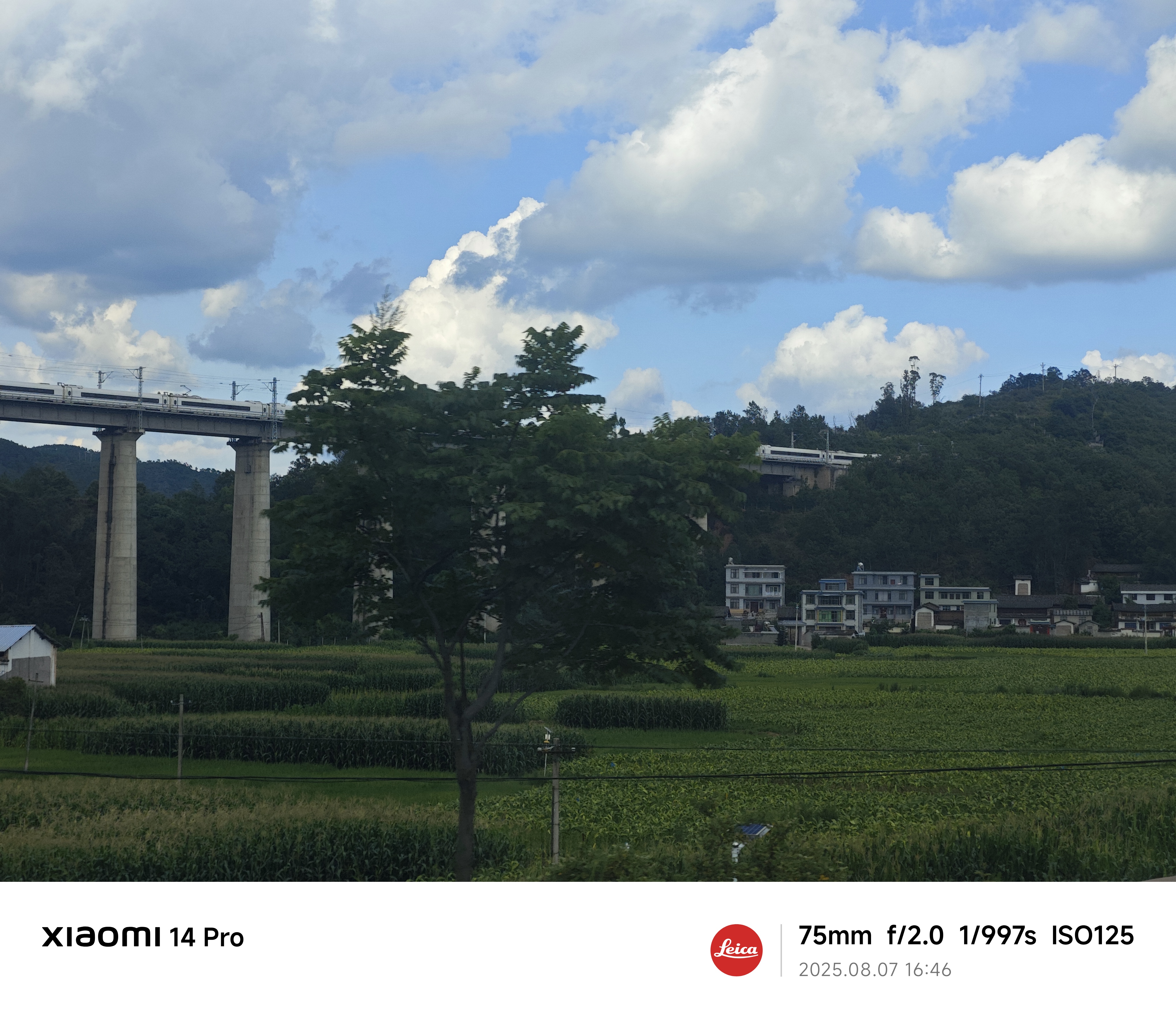MVIMG_20250807_164658